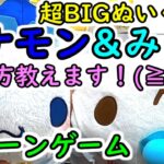 【クレーンゲーム取り方教えます！】シナモン＆みるく  超BIGぬいぐるみ