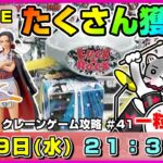 ●ライブ配信【クレーンゲーム】感謝の正拳突き…！！サンキューの日に乱獲ゲットするぞ！！『ラックロック』オンクレ/オンラインクレーンゲーム/橋渡し/攻略/鬼滅の刃/すみっコぐらし