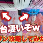 【ラウワン】クレーンゲーム初心者でも簡単に取れる設定がこちらww【ペラ輪攻略】