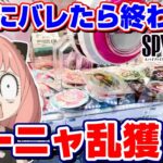 【クレーンゲーム】取れすぎてヤバい…！！店員さんに見つかる前に乱獲できるか！？『スパイファミリー☆アーニャ、ロイド、ヨルのアクリルスタンド・缶バッジ』攻略/コツ/裏技/景品紹介/SPY FAMILY