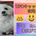 UFOキャッチャー☆攻略 ぬいぐるみ末広がり設定