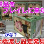 【クレーンゲーム】橋渡し設定 人気景品をプレイしに来たら、ヘンな橋渡し設定を見つけた