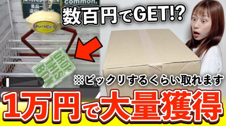 知らなきゃ損！簡単に取れすぎるクレーンゲームの店舗が本気でヤバすぎる・・｜UFOキャッチャー｜オンクレ