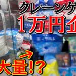 【UFOキャッチャー】1万円企画！年間100万円使うクレーンゲーマーが1万円で何個景品取れるか挑戦した結果がヤバすぎたwww (クレーンゲーム、ワンピース、スパイファミリー、鬼滅の刃、ドラゴンボール)