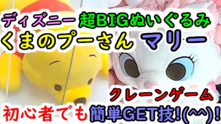 【ディズニー超BIGぬいぐるみ！】クレーンゲーム マリー・くまのプーさん 初心者でも簡単GET技！