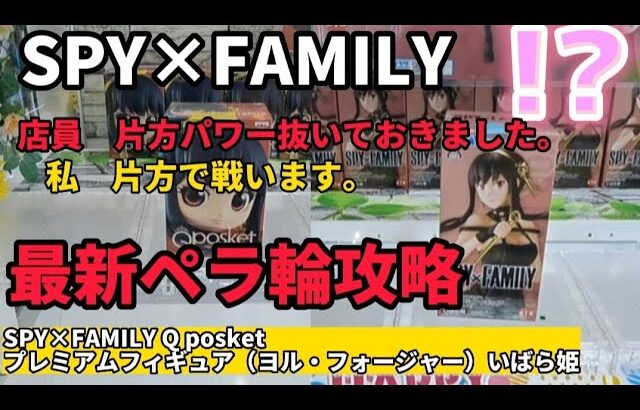 【クレーンゲーム】SPY×FAMILYのヨルさん、ペラ輪で攻略！【 ufoキャッチャー スパイファミリー 】