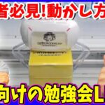 【初心者向け】お店で使える攻略をひたすら伝えていくLIVE !!セガUFOキャッチャーオンライン