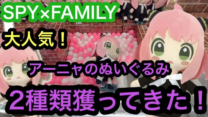 [SPY×FAMILY]アーニャのぬいぐるみ！最短一手で獲得してきた！【クレーンゲーム】【JapaneseClawMachine】【인형뽑기】　【日本夾娃娃】