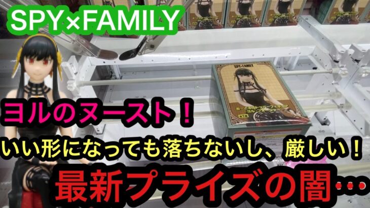 [SPY×FAMILY]ヨルのヌースト導入初日！【クレーンゲーム】【JapaneseClawMachine】【인형뽑기】　【日本夾娃娃】