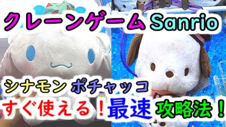 【クレーンゲーム Sanrio（サンリオ）】シナモン・ポチャッコ すぐ使える！最速攻略法！