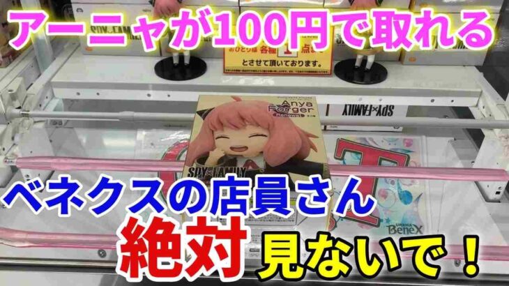 【クレーンゲーム】完全攻略アーニャが100円代で取れる世界！ベネクス浦和店