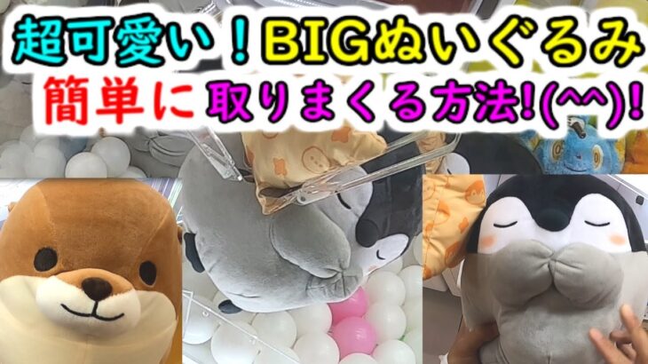 【クレーンゲーム 超かわいい！BIGぬいぐるみを簡単に取る方法！】確率機３本アーム台で、コウペイちゃん・くったりカワウソを誰でもGET！！