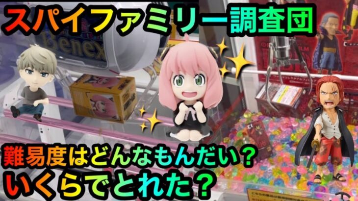 【スパイファミリー】【ワンピース】アーニャフィギュア、シャンクスワーコレを橋渡し攻略ゲットしたい！【クレーンゲーム】【UFOキャッチャー】