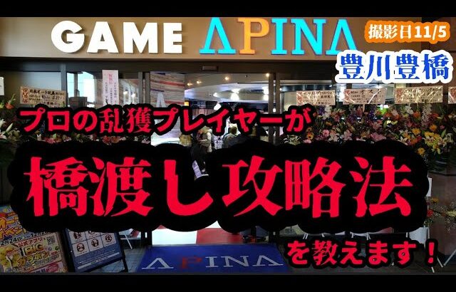 【クレーンゲーム】プロが使う攻略法！２本のみの橋渡し設定！勘違いされがちですが今の時代は掴むのではなくズラして落とす！【UFOキャッチャー】【トライポッド】【ハイエナ】