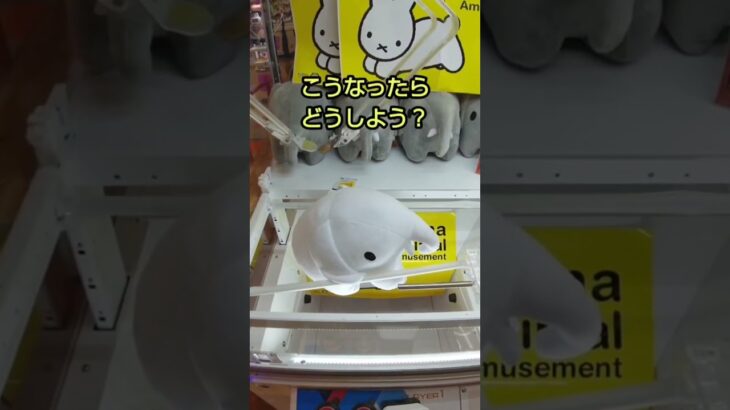 【クレーンゲーム攻略】ゲーセンのufoキャッチャーで特大ぬいぐるみをゲットした #shorts