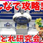 【カプとれ】みんなで学ぶ男塾!!クレーンゲームで視野を広げる攻略LIVE !!