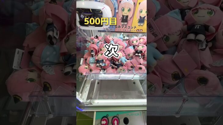 【クレーンゲーム1000円チャレンジ】　UFOキャッチャー　攻略　コツ　取り方　ぬいぐるみ　ちいかわ　フィギュア　橋渡し