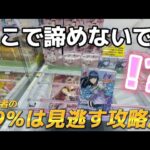 【クレーンゲーム】これチャンスです！知ると得する攻略法！【  ufoキャッチャー 橋渡し攻略 ベネクス川崎店  】