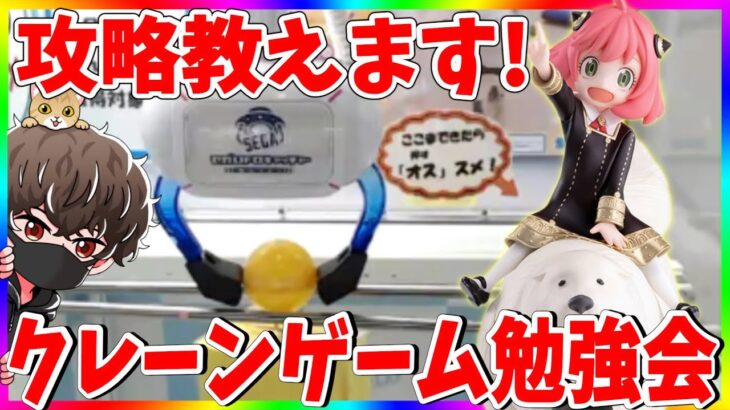 【実況】クレーンゲームのコツがわかる勉強会!!生配信でセガUFOキャッチャーオンラインを攻略します!!