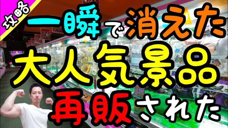 【クレーンゲーム】ゲーセンから一瞬で消えた大人気景品が再販された!?投入初日にリベンジ!!