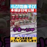 【クレーンゲーム】優良店なら大人気景品も簡単❗️千葉鑑定団酒々井店✨