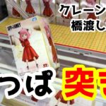 【クレーンゲーム】粘るアーニャをドンピシャ突き！！【橋渡し極め隊】