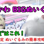 【ちいかわBIGぬいぐるみ！簡単GETの手順！】クレーンゲーム 橋渡し設定 最後はこの技！アームパワー弱くても簡単に攻略できます（ハチワレ・うさぎ）