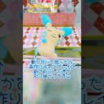 ポケモンぬいぐるみ✨変化系の橋渡しは簡単❔沼❔マイナン可愛い💗