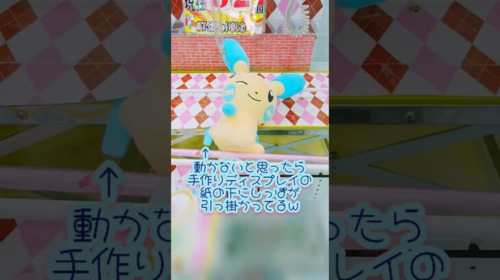 ポケモンぬいぐるみ✨変化系の橋渡しは簡単❔沼❔マイナン可愛い💗