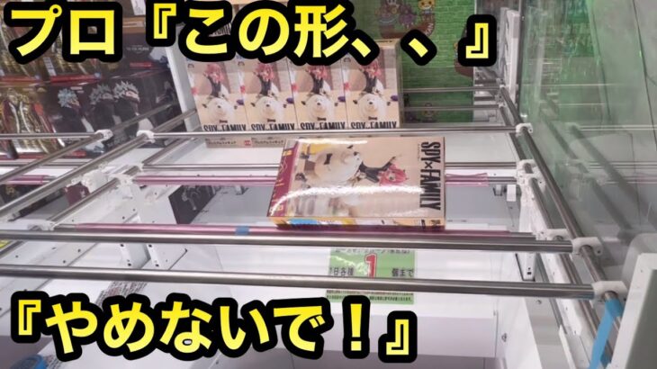 【クレーンゲーム】橋渡し攻略。この形やめないで