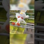 【クレーンゲーム】初期位置が一番取りやすい‼︎橋渡しのポケモンぬいぐるみに挑戦‼︎