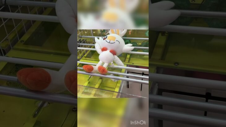 【クレーンゲーム】初期位置が一番取りやすい‼︎橋渡しのポケモンぬいぐるみに挑戦‼︎