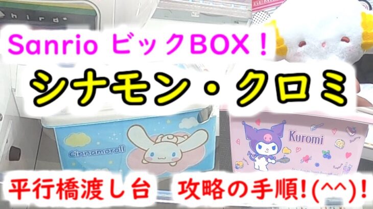 【サンリオ！クレーンゲーム】シナモン・マイメロ・こぎみゅん BIGコンテナBOXとマスコット  平行橋渡し台の攻略手順！