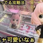 【クレーンゲーム】8割が知ってる橋渡し攻略したいが、こんなもんよね。。スパイファミリーアーニャQposketこだえもん事件