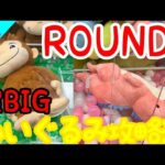 【クレーンゲーム】ビビらずチャレンジ!!ROUND1でデカいぬいぐるみを狙う！コツを知れば案外簡単!?