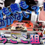 【クレーンゲーム】手前も奥も動かないなら……ここ狙うしかない‼️【橋渡し】