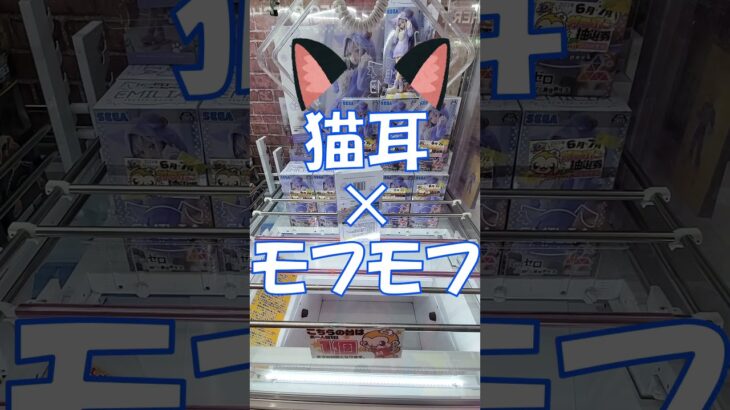 反則的に可愛いエミリアをどうしてもゲットしたい #クレーンゲーム  #リゼロ  #エミリア #猫耳 #モフモフ #橋渡し