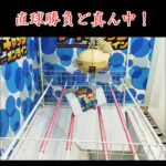 クレーンゲーム・攻略日記 ～ドリーム イン ザ ハコ 編 ～