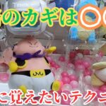 クレーンゲームでぬいぐるみをゲットする攻略法を解説！初心者の方でもできる狙い方やコツを公開！