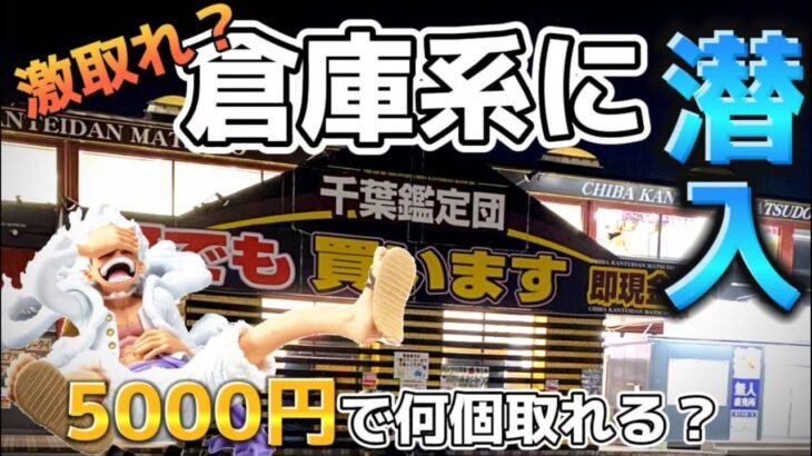 【クレーンゲーム店舗配信】5000円で何個取れる！？ 取り方 コツ 攻略 #クレーンゲーム #ufoキャッチャー #ワンピース #ニカ #フィギュア #ギア5