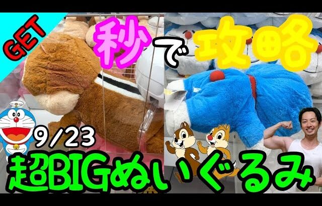 実は超簡単!?攻略法を知っていると秒でGET出来てしまう!?ROUND1で超BIGぬいぐるみを狙った結果…