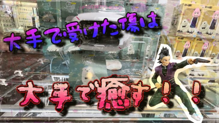 【クレーンゲーム】ひっさびさに沼った…けどその傷は同じ系列で癒します！！【橋渡し】