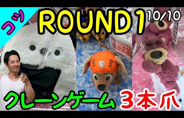 ぬいぐるみ攻略にはコツがある!!3本アームで新作から少し前の大人気のぬいぐるみの設定チェック！ROUND1ぬいぐるみ攻略!!