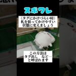 【ちいかわ】8割のでっかいぬいぐるみに使える攻略法 #shorts #クレーンゲーム #ufoキャッチャー #日本夾娃娃 #japaneseclawmachine #クレーンゲーム攻略