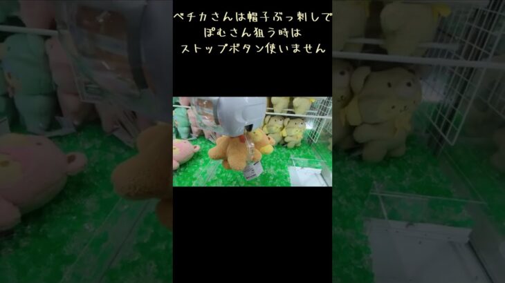 【サンリオ】クレーンゲームで簡単にポムポムプリンを獲る方法！BIGぬいぐるみはこれで完全攻略★ #shorts