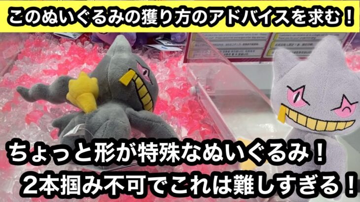 これどう獲るか教えて… ぬいぐるみの形によってはマジで沼るのがDuet…【ポケモン】【pokemon】【クレーンゲーム】【JapaneseClawMachine】【인형뽑기】　【日本夾娃娃】