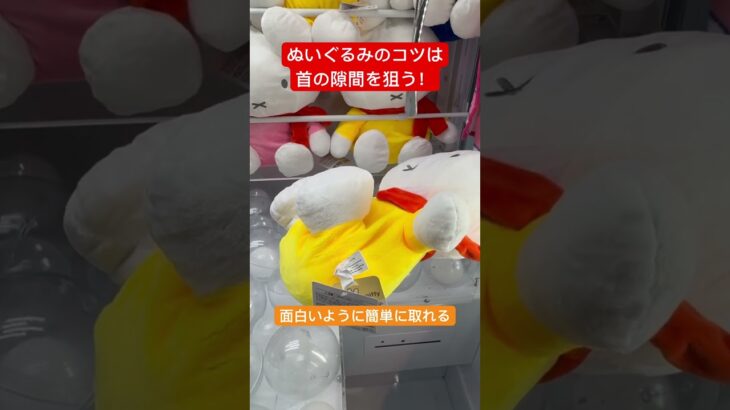 【クレーンゲーム】ぬいぐるみのコツはここを狙え！面白いように簡単に取れます #クレーンゲーム #ベネクス浦和 #ufoキャッチャー