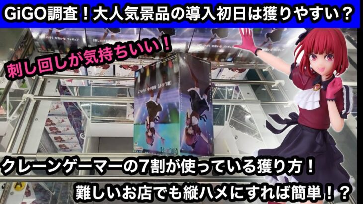 GiGO調査！人気景品の導入初日の設定は？クレーンゲーマーの7割が使っている刺し回しを使いながら攻略してきた！【クレーンゲーム】【日本夾娃娃】【JapaneseClawMachine】【인형뽑기】