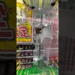 超簡単👀Super easy👀 #shorts #clawmachine #clawcrane #ufoキャッチャー #クレーンゲーム  #short #shortvideo