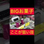 【UFOキャッチャー】買うよりお得!?なBIGお菓子狙い打ち